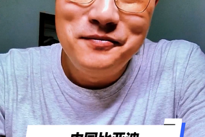 中国比亚迪 古德伍德大放异彩