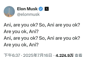 疑似马斯克内涵雷军! 颠覆者与跟随者之战谁会赢？