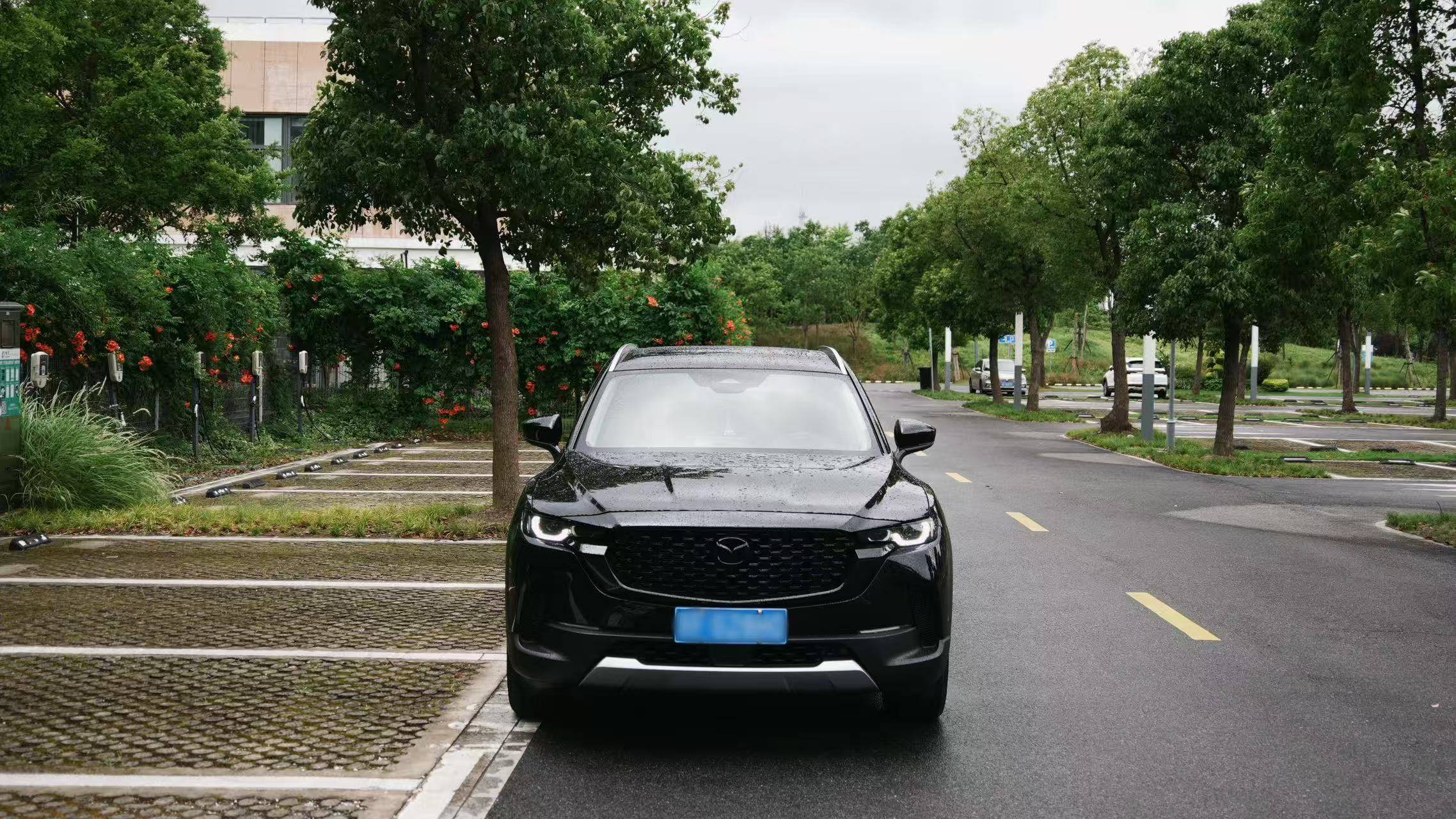 独立试驾马自达CX-50：小众燃油车还有没有活路？