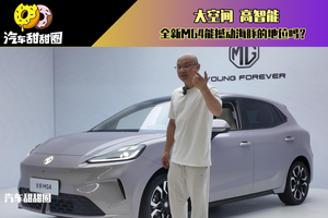 大空间 高智能 全新MG4能撼动海豚的地位吗？