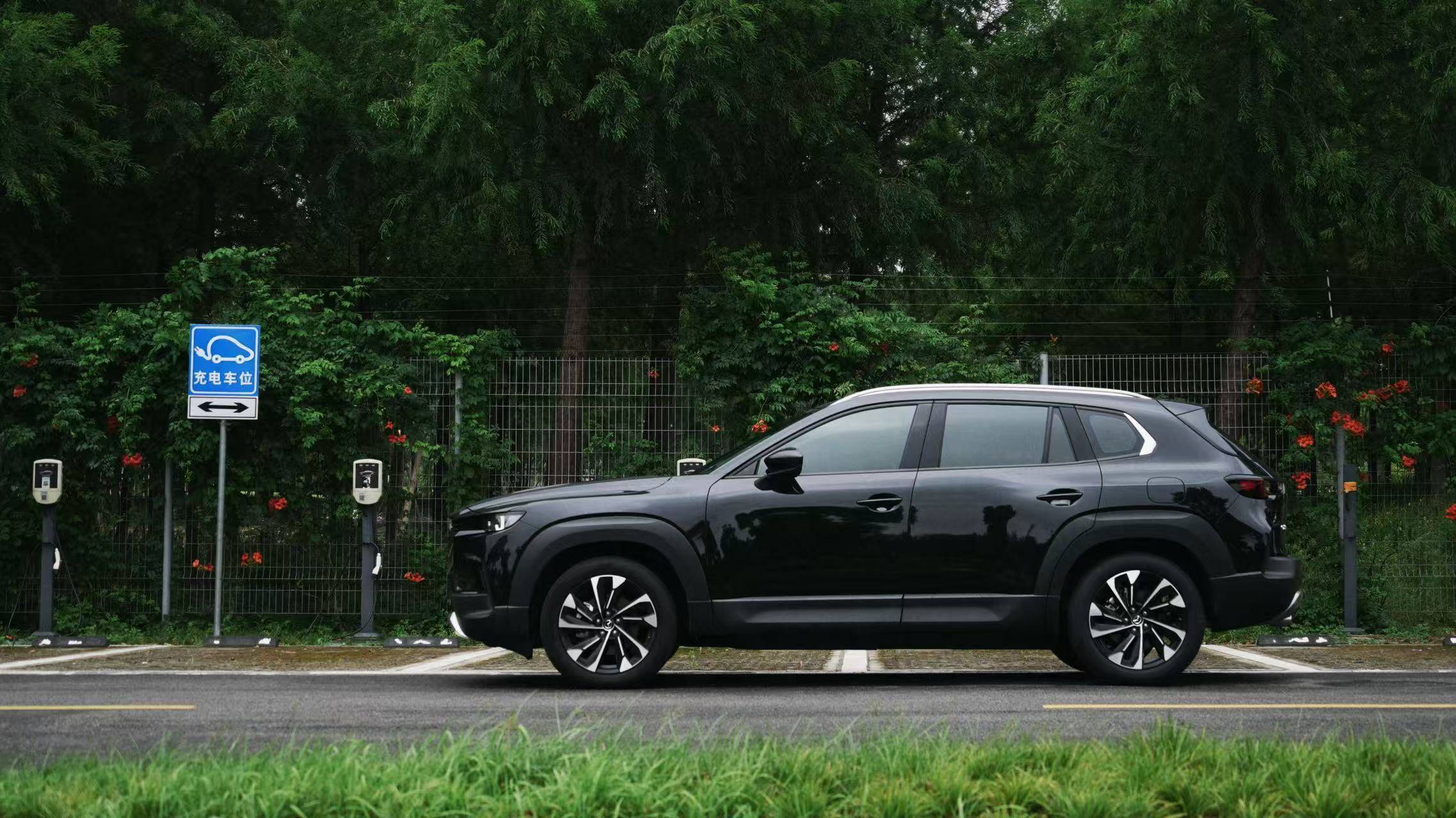 独立试驾马自达CX-50：小众燃油车还有没有活路？