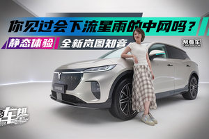 《帮看车》你见过会下流星雨的中网吗？静态体验全新岚图知音