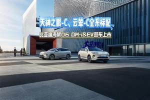 天神之眼-C、云辇-C全系标配 比亚迪海狮06DM-i&EV双车上市#高能超享SUV海狮06
