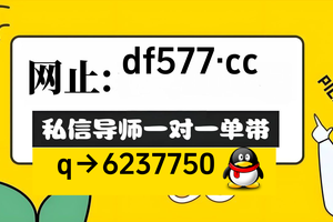 2025新手必备：快３老师单带赚一对一