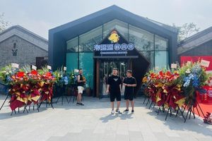 鲜香出圈！潮逗逗鲜鸡煲石家庄店正式开业 成美食新宠