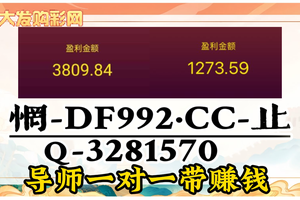 2025彩民精准指南：大发正规金牌导师稳定计划