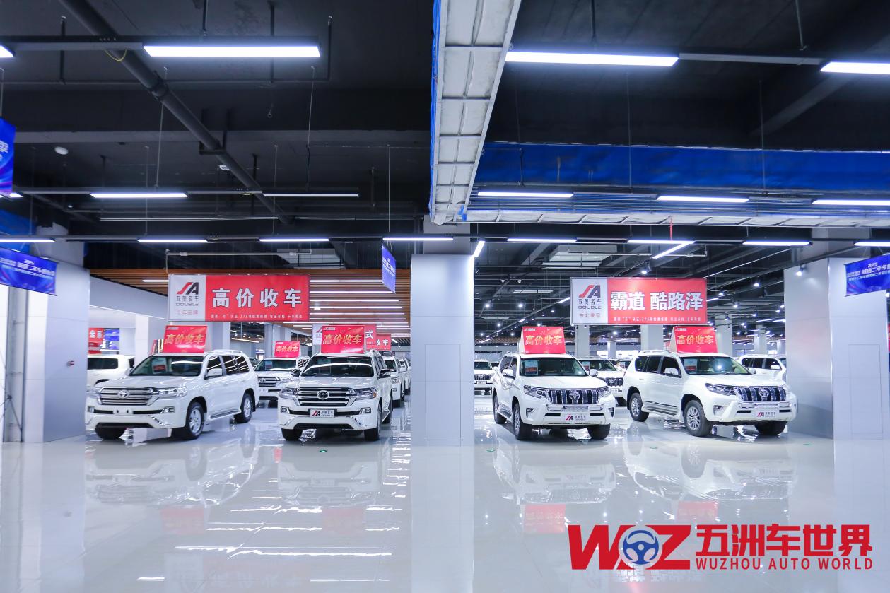 沈阳五洲车世界诚信焕新季：点燃二手车消费热潮，引领行业新风向