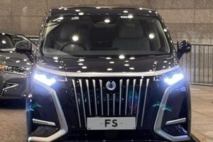厉害了！香港财政司司长专用车牌“FS”悬挂在腾势D9上