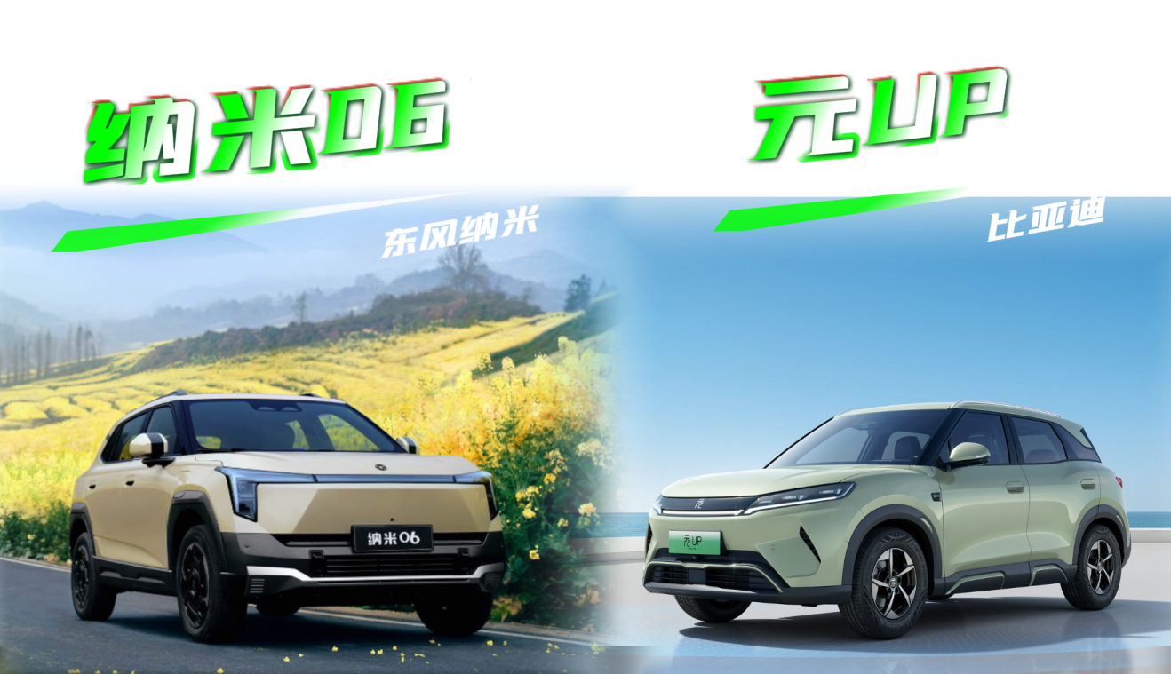 一键解决选择困难症，东风纳米06 还是比亚迪元UP？