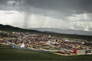 阿万仓湿地其实考验的是勇气