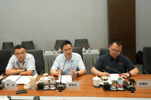 比亚迪杨冬生：以安全为锚，构建辅助驾驶普及新范式