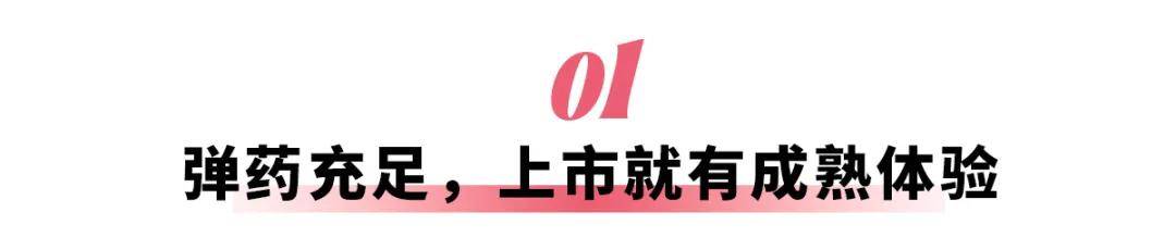 理想i8：要么不做，要做就做最好