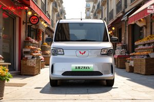 五菱之光EV 305km长续航开启预订，兼顾商用和家用，生意生活皆自由