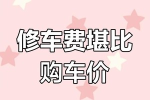 买油车还是买电车 经历一件事你就会选择