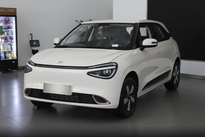 6.58万可买，定位纯电小型车，25款东风纳米01产品力如何