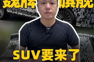 魏牌旗舰SUV要来了 买全尺寸大六座等等它