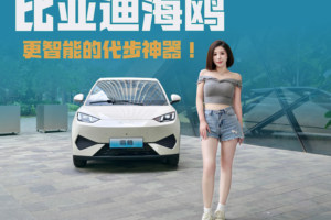 谁说小车不智能？比亚迪海鸥让新手秒变老司机！