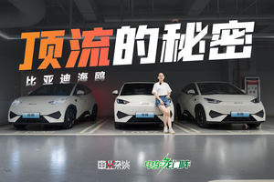相比海豚，建议优先选比亚迪海鸥，原因只有1个
