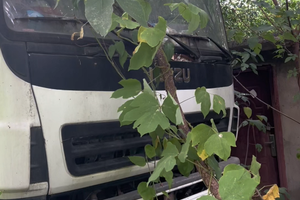 也不知道哪个公司这么豪，几百万的吊车，扔在小树林
