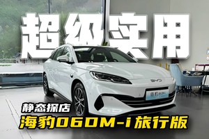 10.98万的超混旅行车，海豹06DM-i旅行版真能让旅行车火起来！