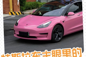 特斯拉车主眼里的蔚小理是怎样的？