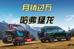 首月即破万！哈弗猛龙双动力表现强劲