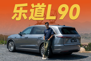 30万内买断，超大空间6座还能换电，会爆吗？