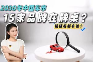 500家→129家→15家？中国车市二轮血洗进行时，谁能活到2030年？
