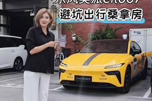 酷暑难耐 东风奕派eπ007 避坑出行桑拿房