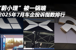 2025年6月车企投诉指数排行：“蔚小理”被一锅端