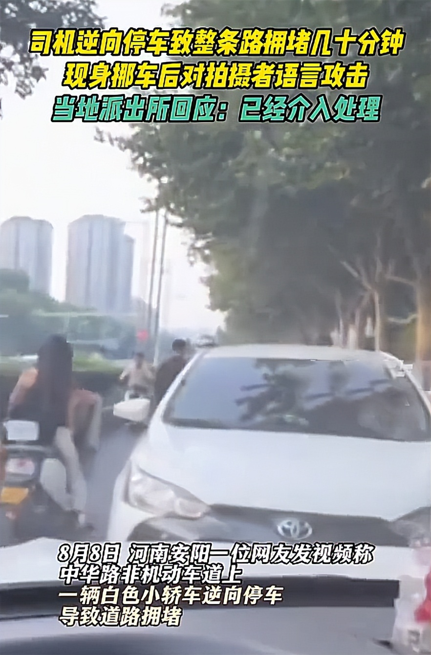 安阳一女司机违停堵路近1小时，该司机行为已涉嫌寻衅滋事