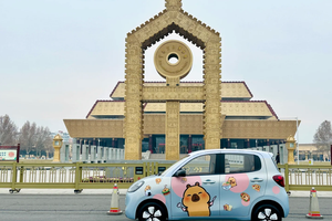 还是五菱有实力！5年卖了170万台，开办宏光MINIEV用户盛典