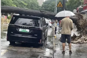 广州卡车追尾致五车连撞，车主惊魂：像堵墙压了过来！