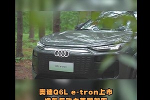 奥迪Q6L e-tron上市：续航与动力的高效平衡