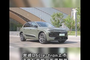 奥迪Q6L e-tron上市：语音与音响的交互升级