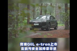 奥迪Q6L e-tron上市：音响与安全的豪华体验