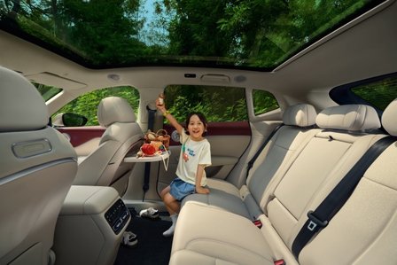 华系首款家用纯电SUV 全新岚图知音预售价22万元起