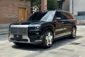 极氪9X售价曝光，定位55万级，想40万内买它的可以散了？