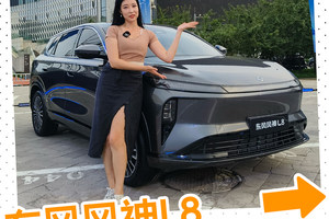 中端家庭也不妥协，东风风神L8惊喜价