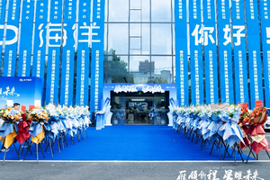 雁领新程 星耀未来——比亚迪海洋网西安雁星旗舰店盛大开业 开启新能源出行新篇章