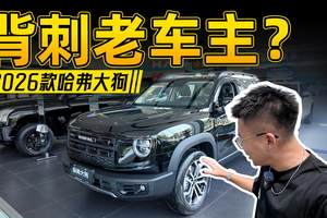 老车主实名羡慕，长城这次真听劝了！