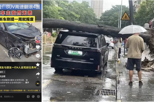 从军车到民用车，东风安全血脉的岚图答卷