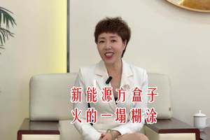 哈弗猛龙2026版上市：新能源方盒子正式进入“大众时代”