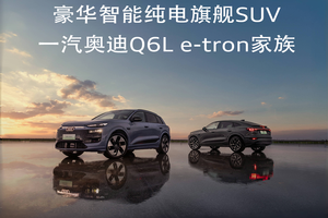 实力铸就爆款 引领豪华风向 一汽奥迪 Q6L e-tron 获专家满誉