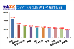 2025年7月汽车销量排行榜 问界M8不愁卖