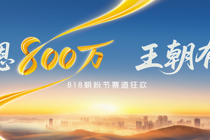 800万热爱汇聚，品牌用户双向奔赴，王朝首届我迪朝粉节与用户携手共创未来！