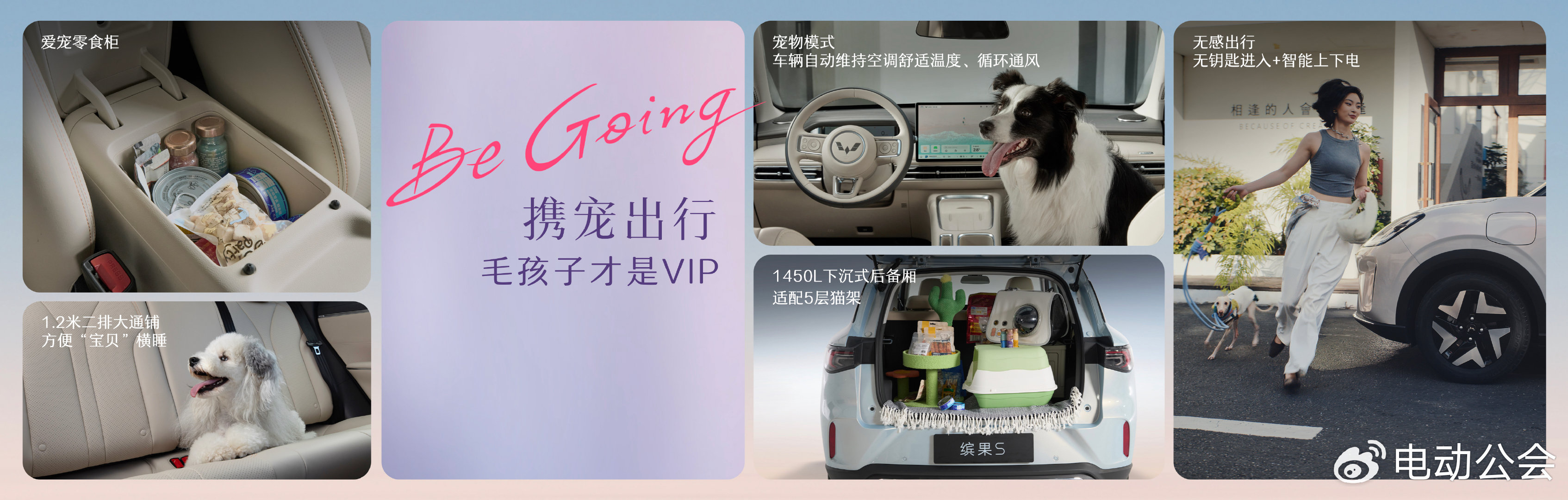 6.88万元起！五菱缤果S开启预售，精准卡位市场空白