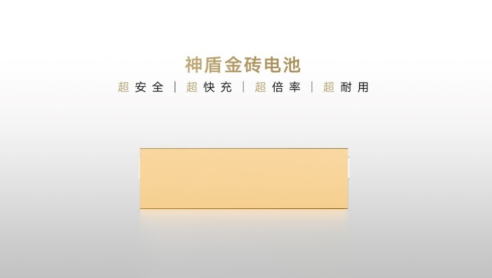 神盾金砖电池成功挑战行业首个整车+整包带电六大串行极端测试