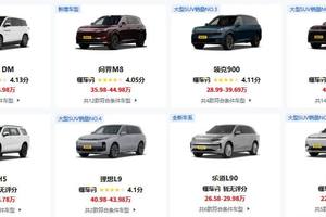 扎堆大SUV，多数玩家成为陪跑者