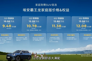 舒适升级 霸王龙家庭版上市，售10.98万起